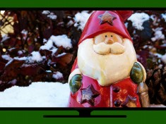 Don't Miss Your Favorite Holiday Shows With A Bad Connection!
